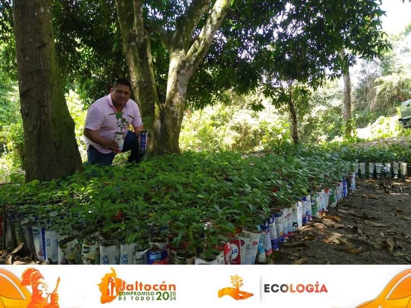 FOMENTANDO LA REFORESTACIÓN